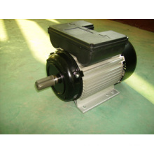 Motor elétrico de indução do início do capacitor de Yl monofásico (YL90L-2)